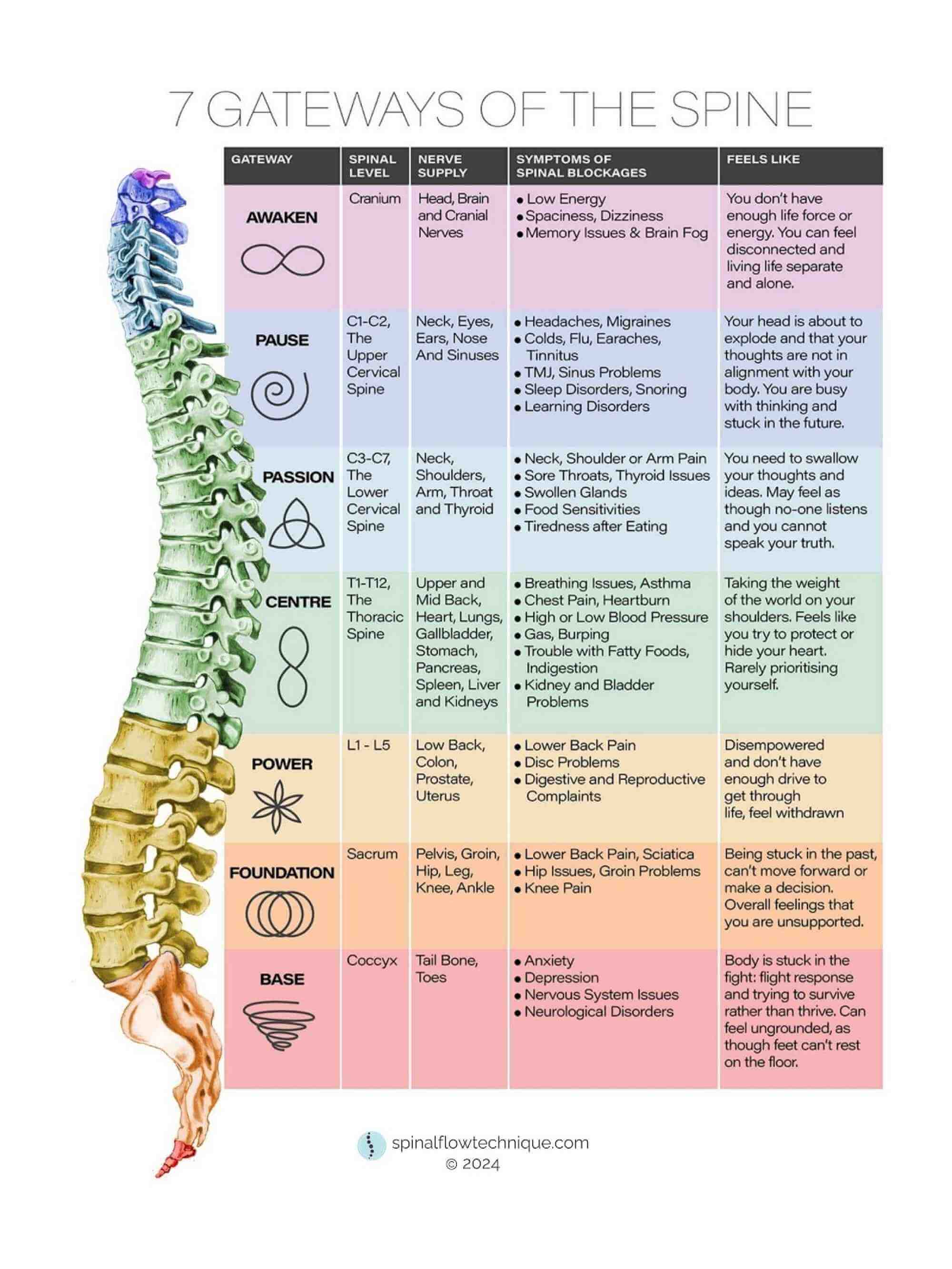 Spinal Flow 7 Gateway Chart